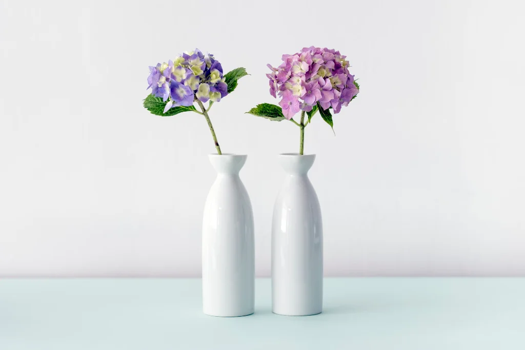 App Kitanda